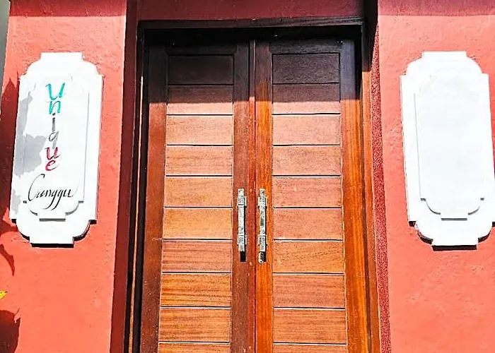Unique Canggu Hotel Buduk